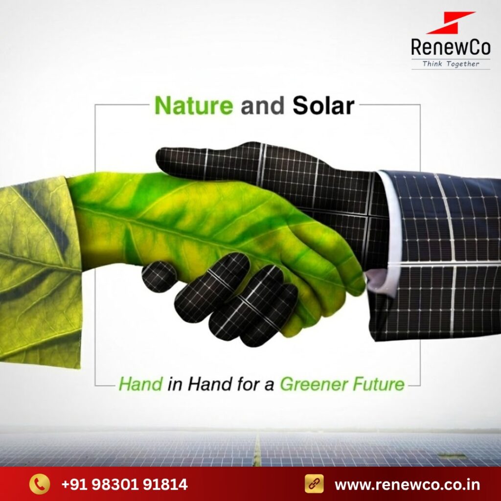 Best solar panel company in Kolkata, RenewCo, displaying a leaf hand shaking hands with a solar panel hand to illustrate nature and solar working together.