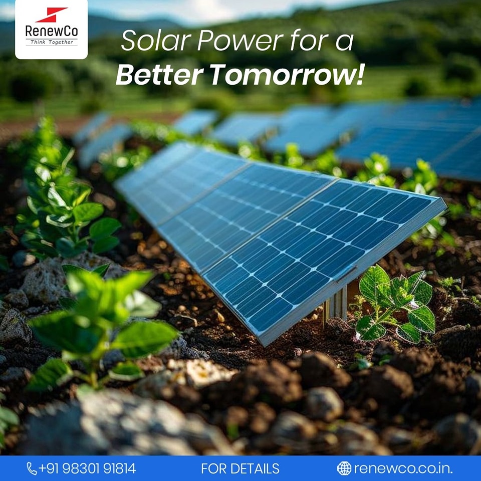 Best solar panel company in Kolkata, RenewCo, providing sustainable solar plant installations for a better tomorrow.